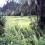 P11.00 per sq.m. 2nd. Lot from the Highway of Mifil Prosperidad Agusan Sur