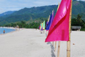 Affordable Beach Residential Property in Laiya,San Juan Batangas