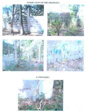 Property for Sale - Lot 2-D-3 Bgy. Palo Alto, Calamba, Laguna