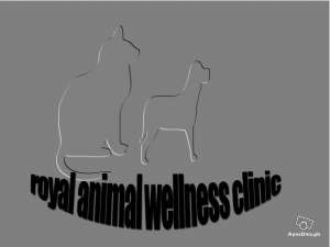 Veterinary House Call Services