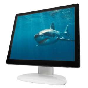 Affordable Flat LCD Monitor