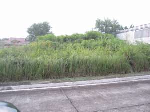 Buenavida Heights Lot in Ormoc City 2