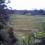 P11.00 per sq.m. 2nd. Lot from the Highway of Mifil Prosperidad Agusan Sur