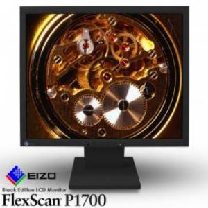 Used Eizo Flexscan P1700 17-inch Black LCD Monitor